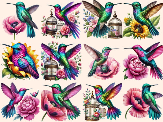 Hummingbirds (P3) Clipart