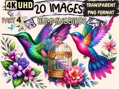 Hummingbirds (P4) Clipart bird decor - Wonders Artist