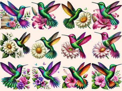 Hummingbirds (P4) Clipart bird decor - Wonders Artist