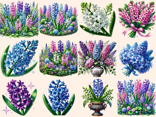 Hyacinth Flowers Clipart