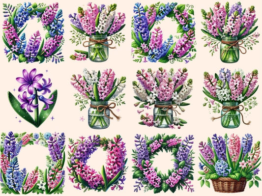 Hyacinth Flowers (P2) Clipart