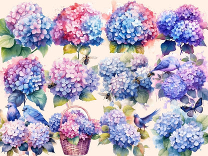 Hydrangeas Watercolor Clipart floral clipart - Wonders Artist