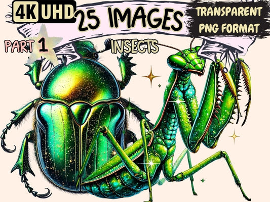 Insects Clipart bug design - Wonders Artist