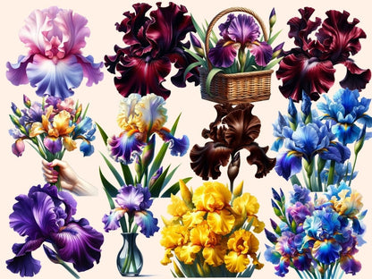 Irises Clipart blooming iris clip - Wonders Artist