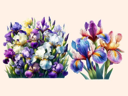Irises Clipart blooming iris clip - Wonders Artist