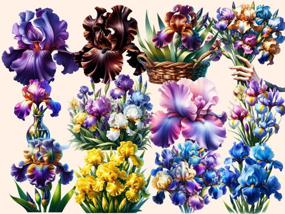 Irises Clipart blooming iris clip - Wonders Artist
