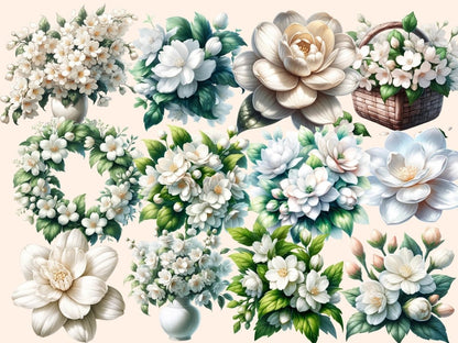 Jasmine Flowers Clipart jasmine clipart - Wonders Artist