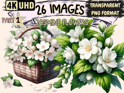 Jasmine Flowers Clipart jasmine clipart - Wonders Artist