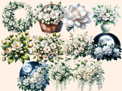 Jasmine Flowers Clipart jasmine clipart - Wonders Artist