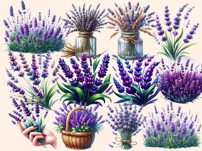 Lavenders Clipart avender flower clip - Wonders Artist