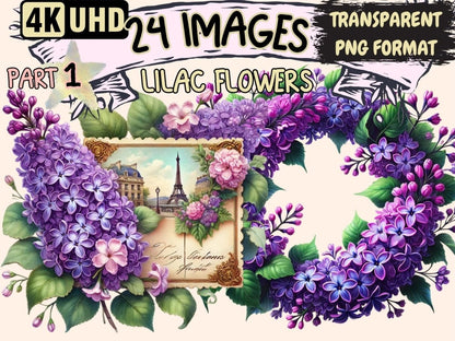 Lilac Flowers Clipart Botanical Lilac - Wonders Artist