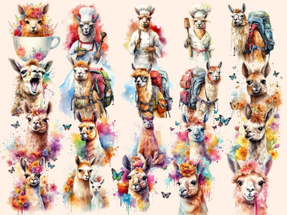 Llamas Watercolor Clipart alpaca clipart - Wonders Artist