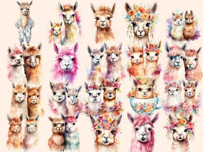 Llamas Watercolor Clipart alpaca clipart - Wonders Artist