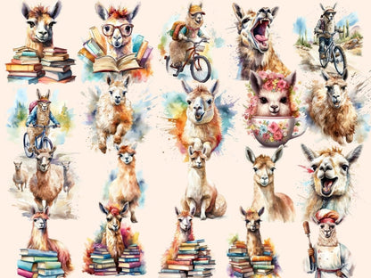 Llamas Watercolor Clipart alpaca clipart - Wonders Artist