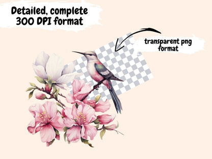 Magnolia Watercolor Clipart floral blossoms png - Wonders Artist