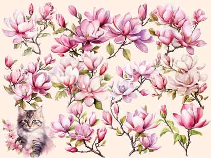Magnolia Watercolor Clipart floral blossoms png - Wonders Artist