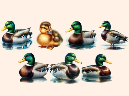 Mallard Ducks Clipart Cute duck art - Wonders Artist