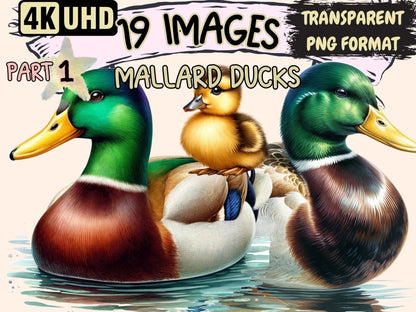 Mallard Ducks Clipart Cute duck art - Wonders Artist