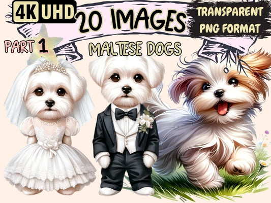 Maltese Dogs Clipart cartoon Maltese - Wonders Artist