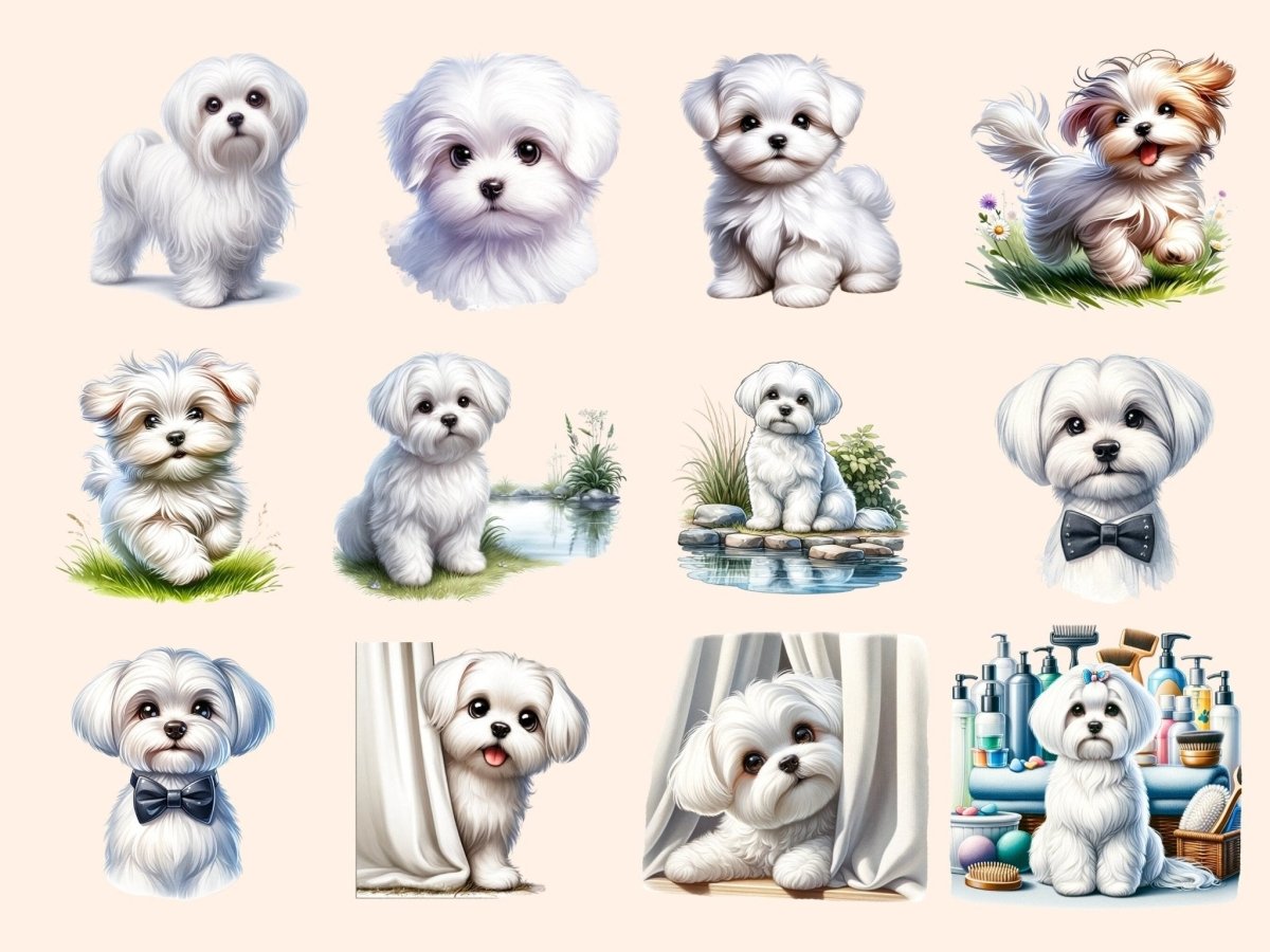 Maltese Dogs Clipart cartoon Maltese - Wonders Artist