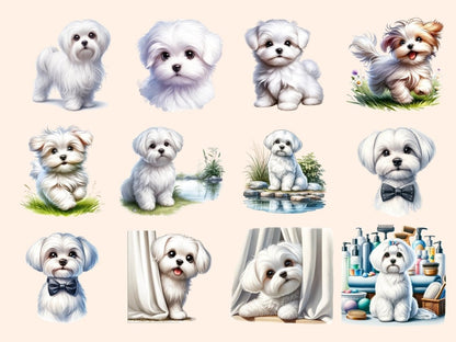 Maltese Dogs Clipart cartoon Maltese - Wonders Artist