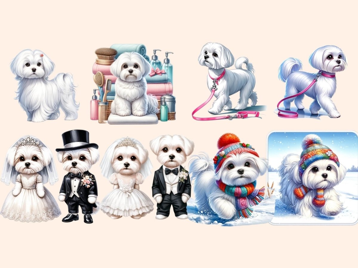 Maltese Dogs Clipart cartoon Maltese - Wonders Artist