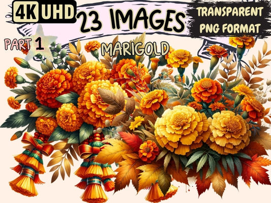 Marigold Clipart blooming marigold - Wonders Artist