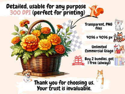 Marigold Clipart blooming marigold - Wonders Artist