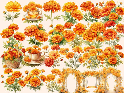 Marigold Watercolor Clipart autumn clipart - Wonders Artist