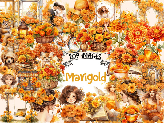 Marigold Watercolor Clipart - High - Quality Instant Digital Download for Creative Projects