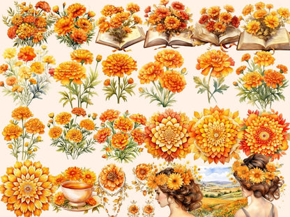 Marigold Watercolor Clipart autumn clipart - Wonders Artist