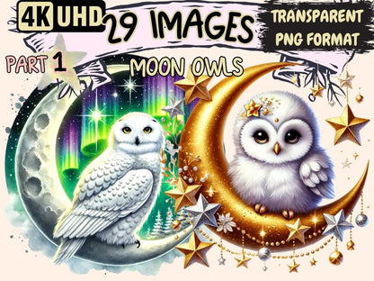 Moon Owls Clipart Celestial Owl png - Wonders Artist