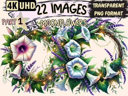 Moonflowers Clipart Botanical Moonflower - Wonders Artist