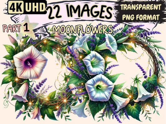 Moonflowers Clipart Botanical Moonflower - Wonders Artist