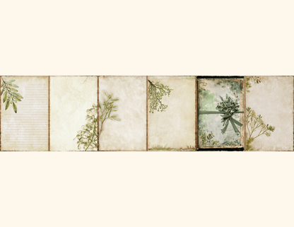 Moss & Mistletoe Journal Pages All Bundles Journal Pages new bundles all - WondersArtist