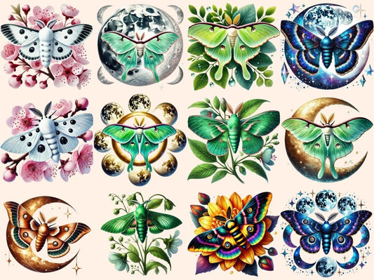 Klipart, můry (P4).