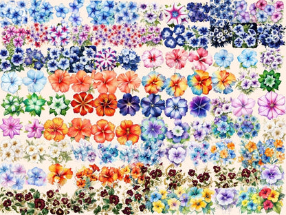 Multicolor Petunia Watercolor Clipart beautiful flower png - Wonders Artist