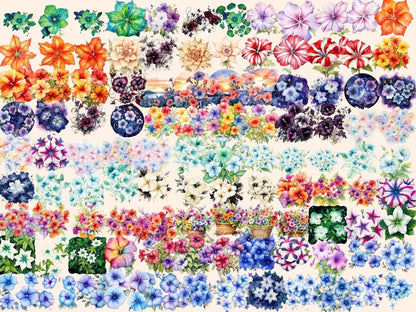 Multicolor Petunia Watercolor Clipart beautiful flower png - Wonders Artist