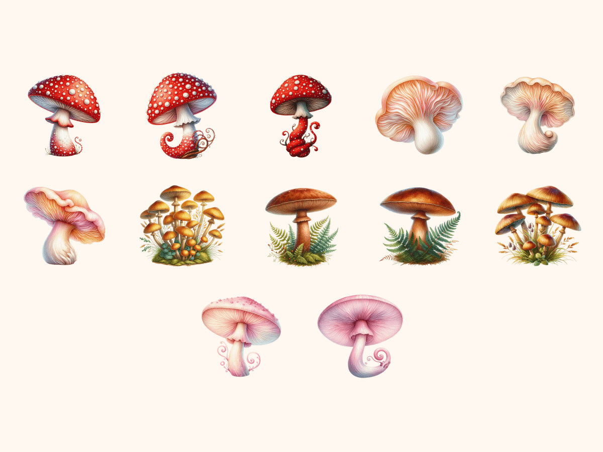 Mushroom Meadows Clipart All Bundles Clipart Line Art - WondersArtist