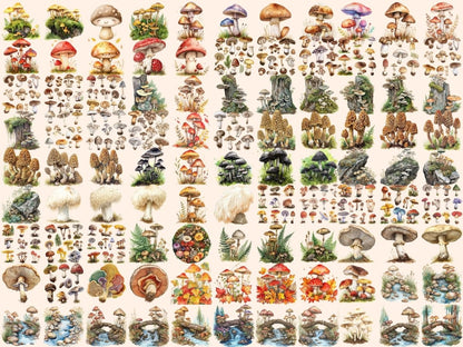 Mushrooms Watercolor Clipart fairy toadstool - Wonders Artist