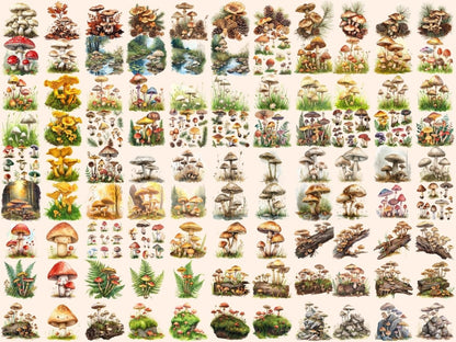 Mushrooms Watercolor Clipart fairy toadstool - Wonders Artist