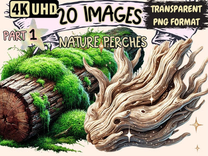 Nature Perches Clipart bird habitat clipart - Wonders Artist