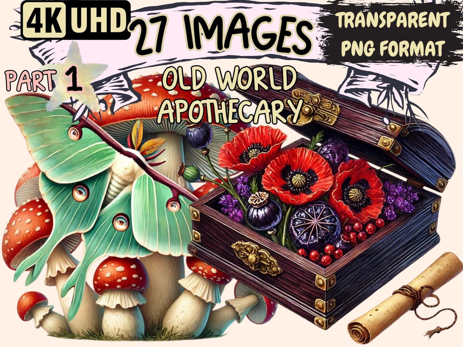 Old World Apothecary Clipart - High - Quality Instant Digital Download for Creative Projects