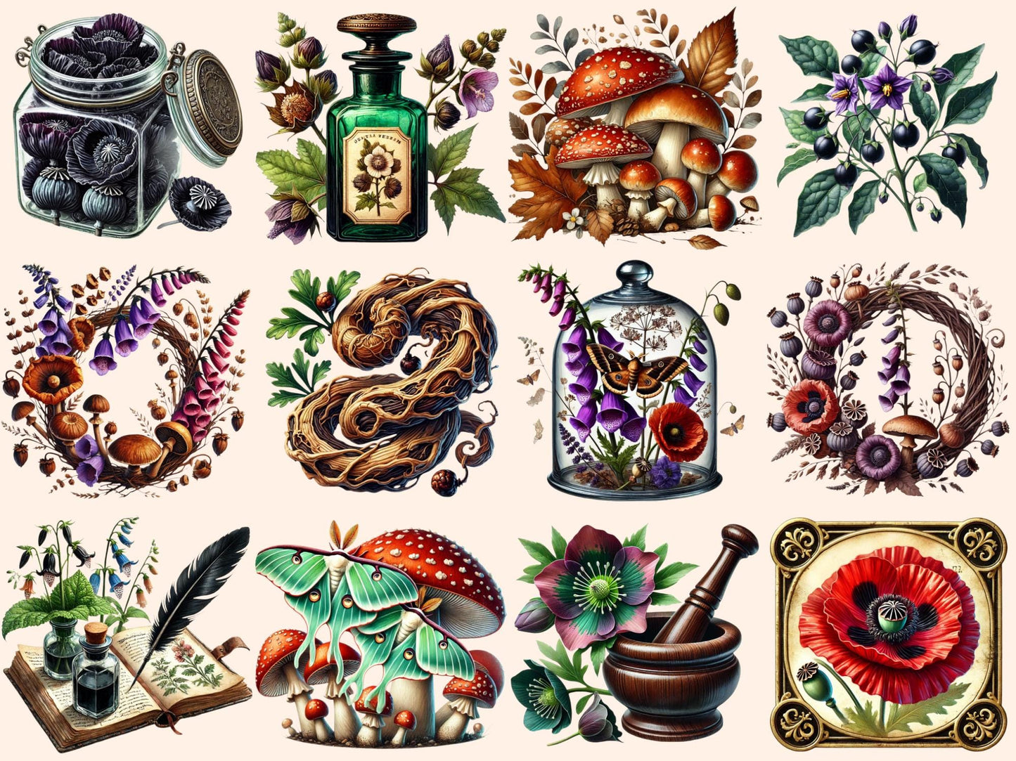 Old World Apothecary Clipart - High - Quality Instant Digital Download for Creative Projects