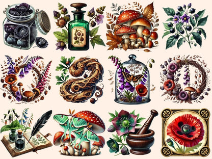 Old World Apothecary Clipart antique apothecary - Wonders Artist