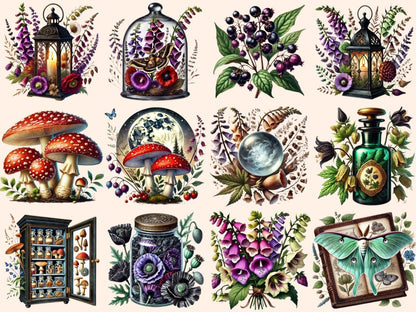 Old World Apothecary (P2) Clipart antique apothecary - Wonders Artist