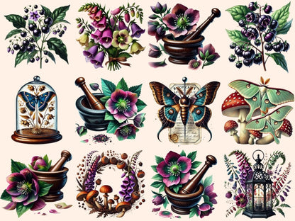 Old World Apothecary (P2) Clipart antique apothecary - Wonders Artist