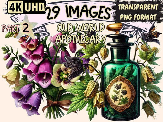 Old World Apothecary (P2) Clipart - High - Quality Instant Digital Download for Creative Projects