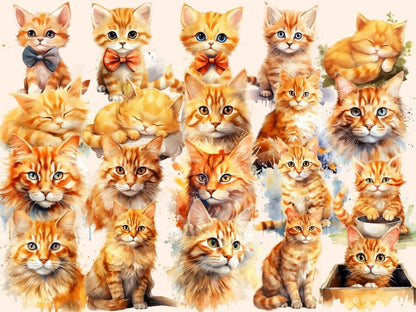 Orange Cats Watercolor Clipart cat clipart - Wonders Artist