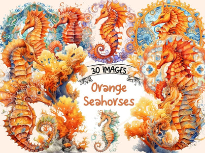 Orange Seahorses Watercolor Clipart nautical nursery - Wonders Artist